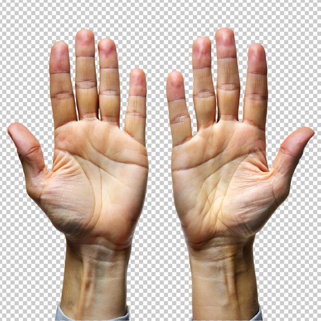 Open Female Hands Gesturing with Grace Cut Out on Neutral