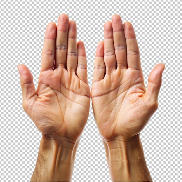 Open Female Hands Gesturing with Grace Cut Out on Neutral