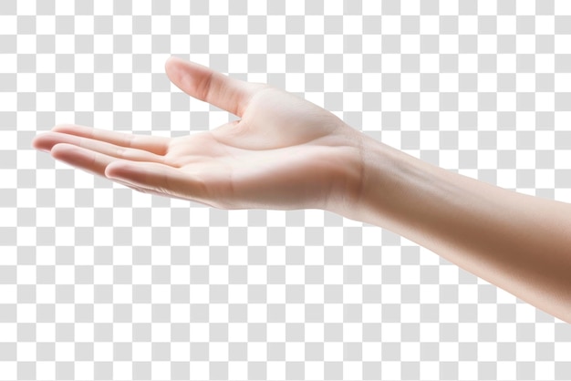 Open hand transparent background