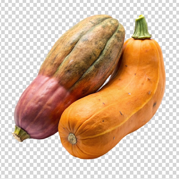 An orange cocoa pod on transparent background