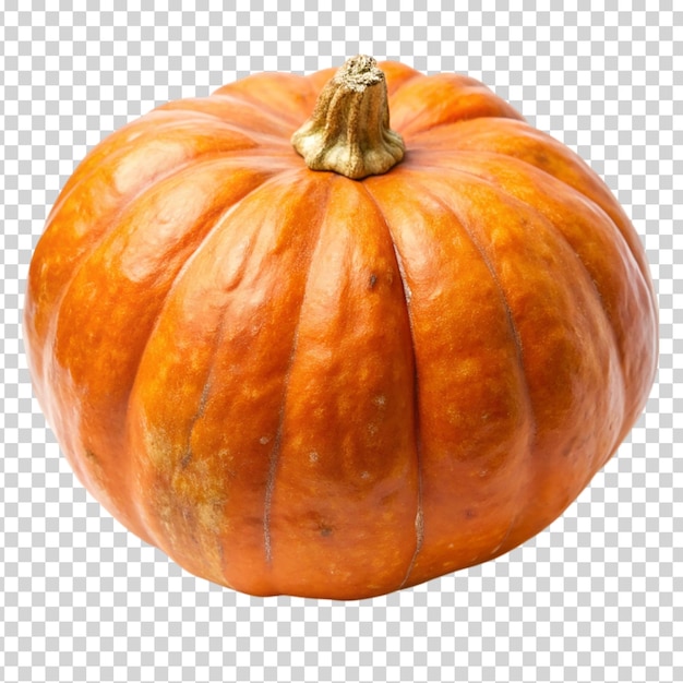 An orange cocoa pod on transparent background