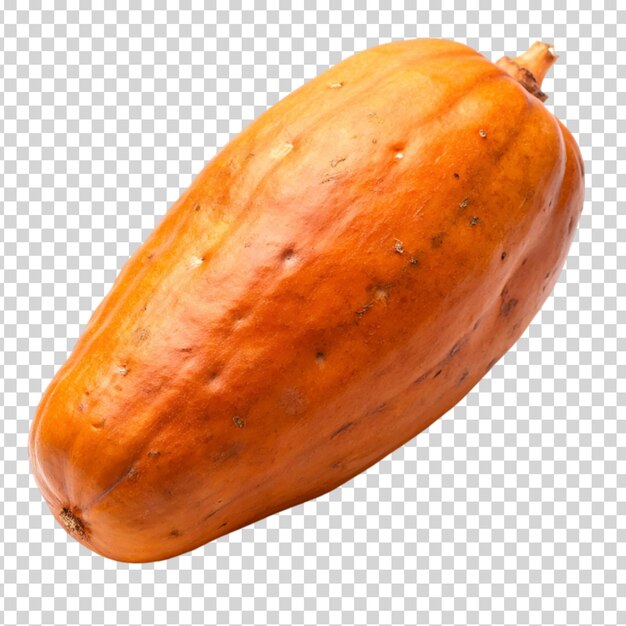 An orange cocoa pod on transparent background