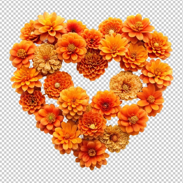 Orange flowers in the shape of a heart isolated on transparent background