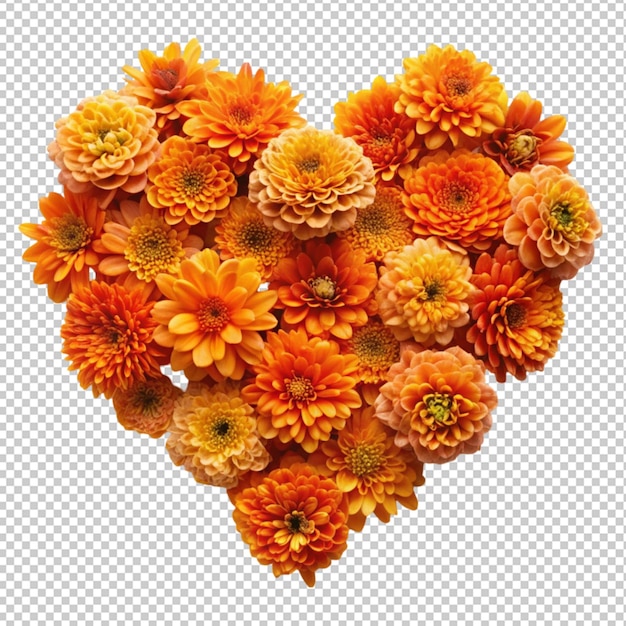 Orange flowers in the shape of a heart isolated on transparent background