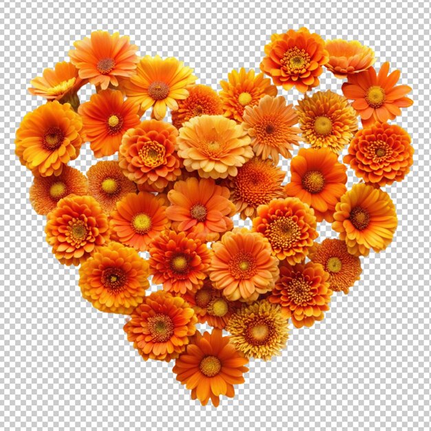 Orange flowers in the shape of a heart isolated on transparent background