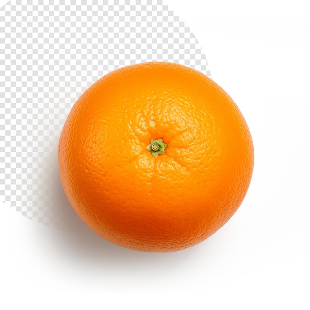 Orange fruit on white top view