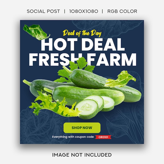 Organic Food Social Instagram Post Template