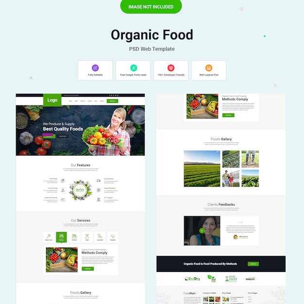 Organic Food  template