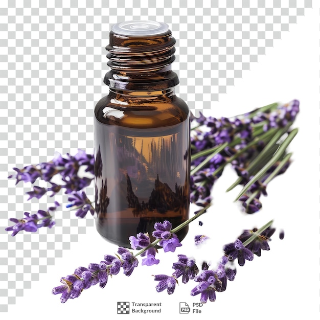 Organic Lavender Essential Oil transparent background