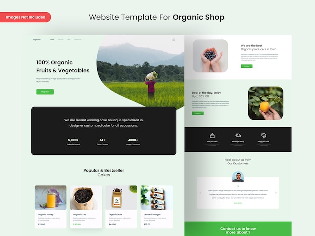 Organic shop website page design template