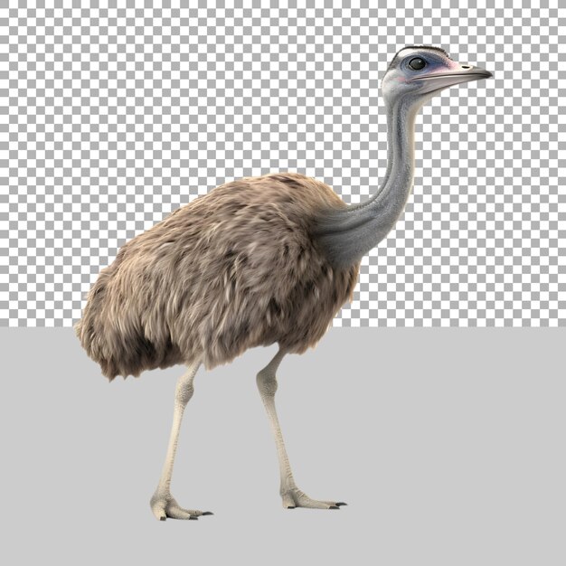 Ostrich Standing on Transparent background Ai Generated