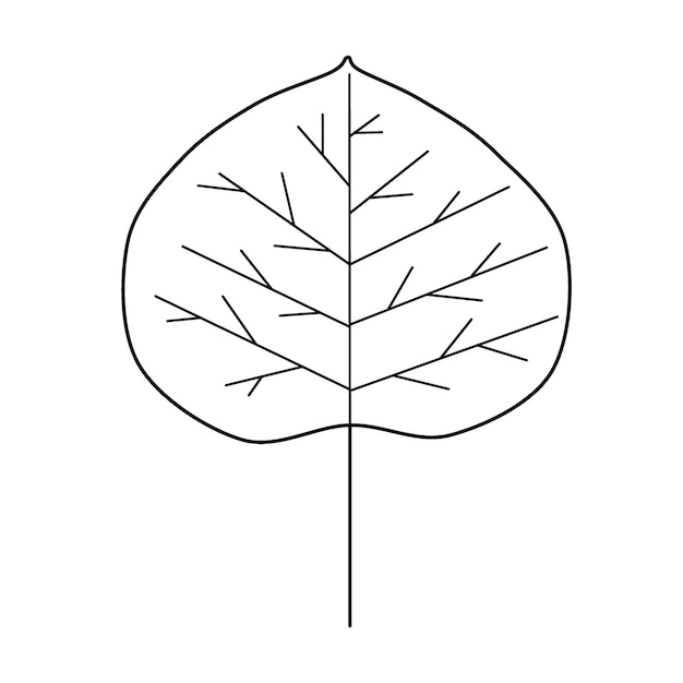 PSD outline aspen leaf raster drawing