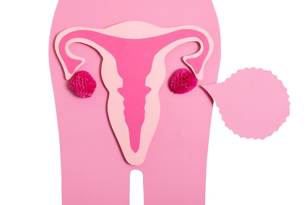 PSD ovaries and uterus shape isolated