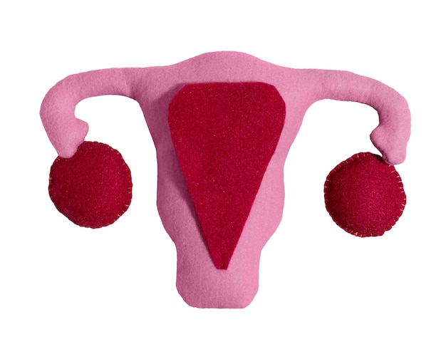 PSD ovaries and uterus shape isolated