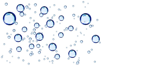 Oxygen bubbles from water on isolated transparent background