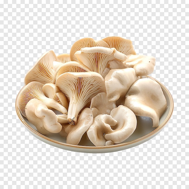 Oyster mushrooms isolated on transparent background