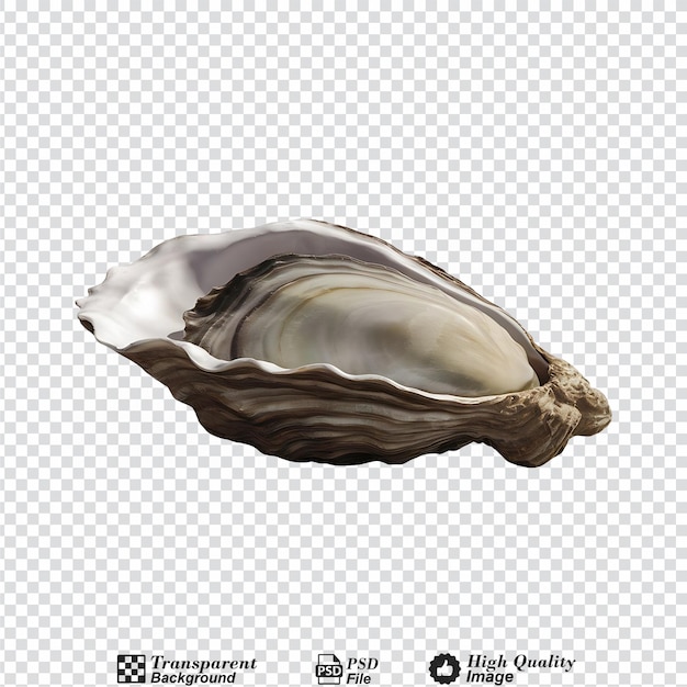 PSD oyster shell isolated on transparent background