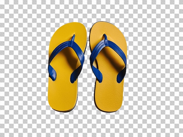 Pair of flip flops on transparent background