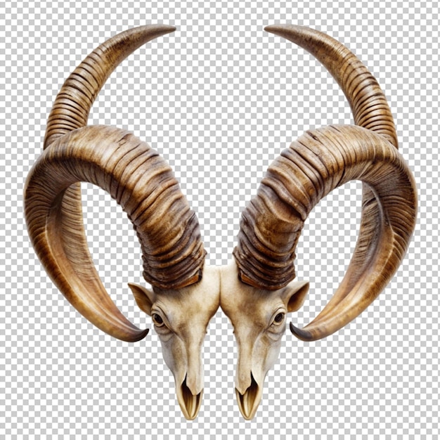 PSD a pair of horns separated