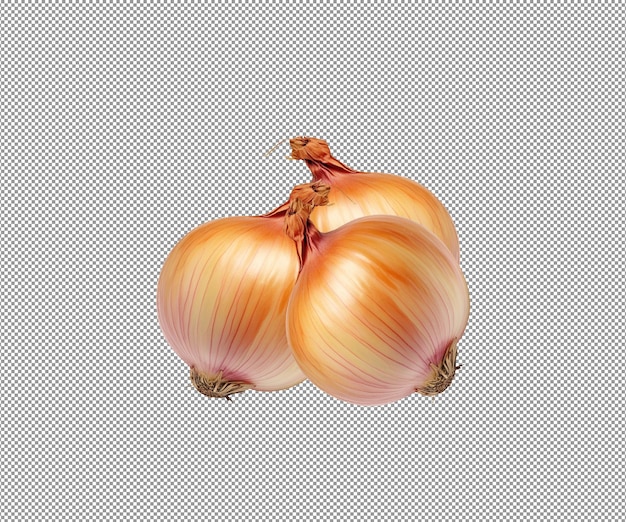 a pair of onions with a yellow and red striped background