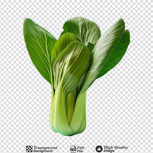 PSD pak choi isolated on transparent background