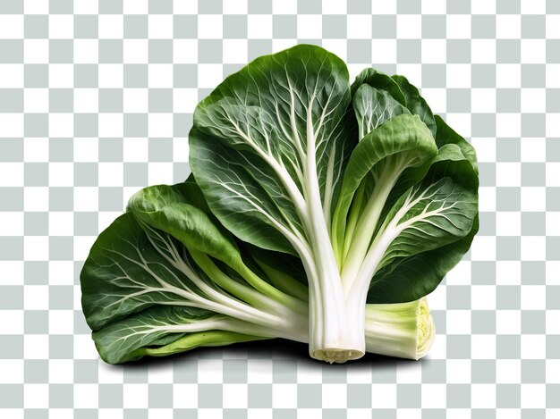 PSD pakchoi isolated on transparent background