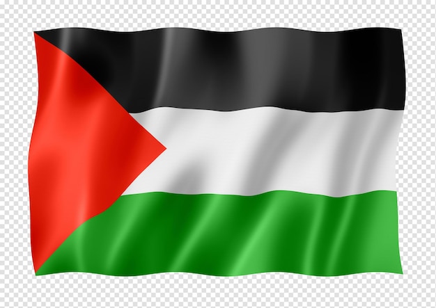 Palestinian flag isolated on white