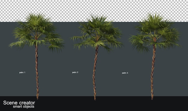 Palm and coconut trees of various sizes and shapes.