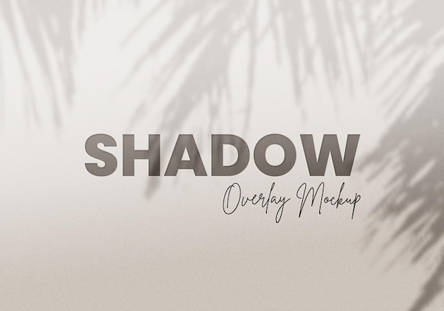 Palm leaves shadow overlay mockup