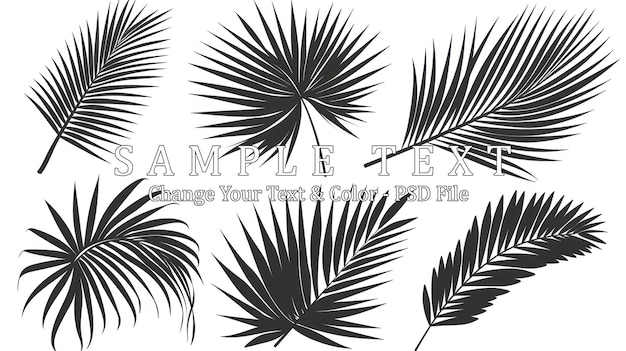 PSD palm leaves silhouette collection