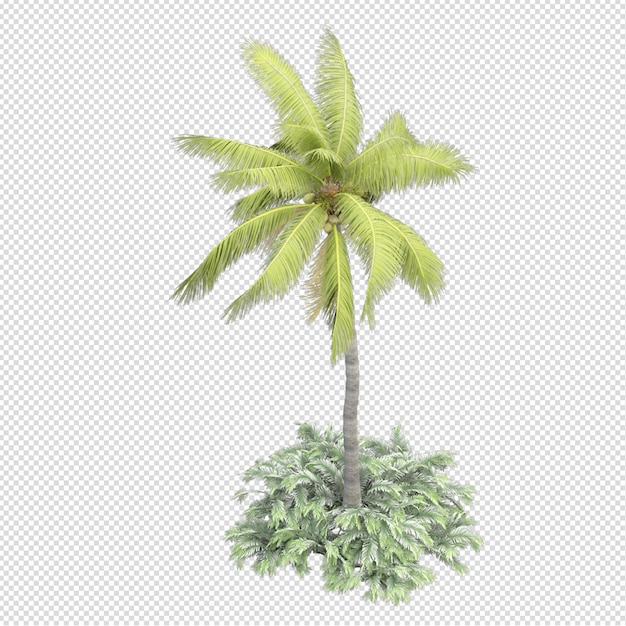 Palm tree in 3d rendering isolated