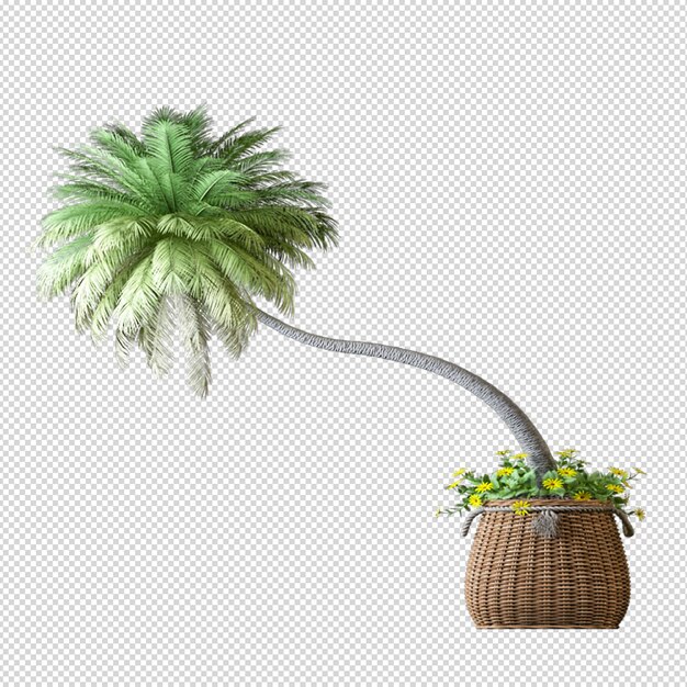 Palm tree in 3d rendering isolated