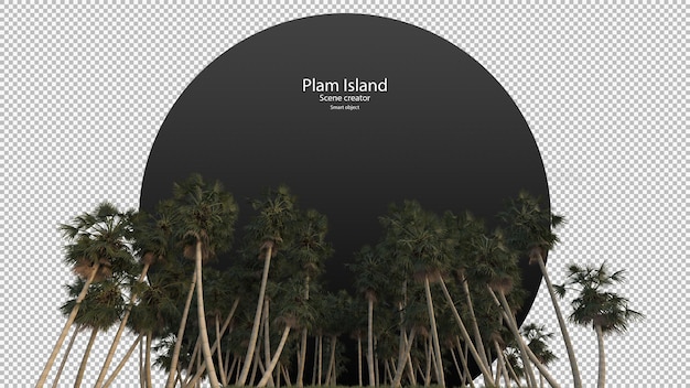 palm tree lookup rendering isolated