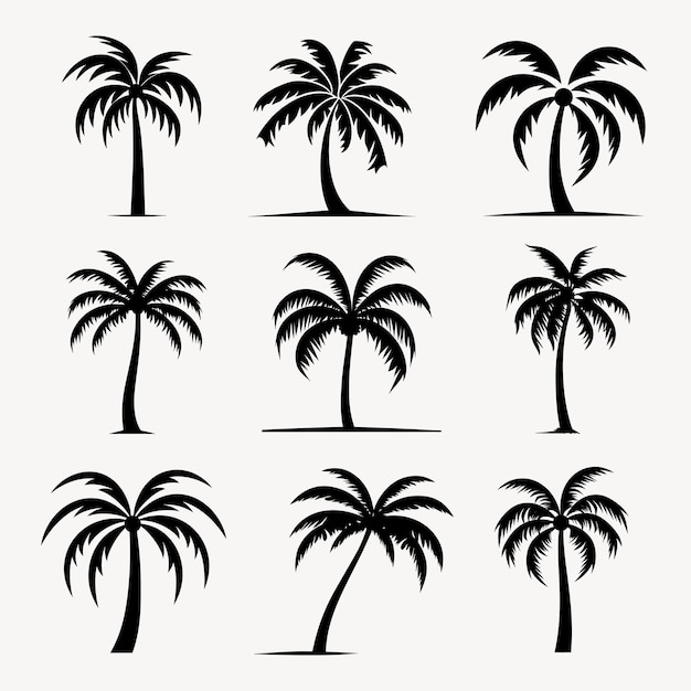 PSD palm tree vector silhouettes collection