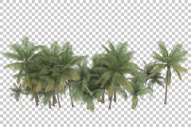 Palm trees on transparent background. 3d rendering - illustration