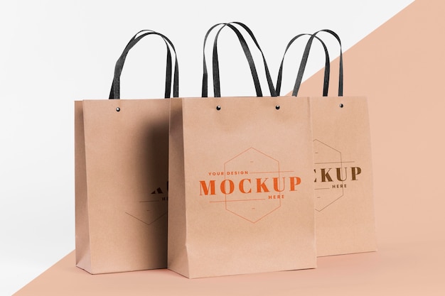 Paper bag concept with mock-up