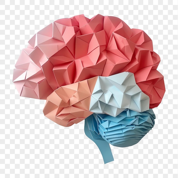 PSD paper brain isolated on transparent background png