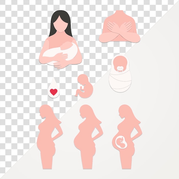 PSD paper craft pregnant woman and baby design element set