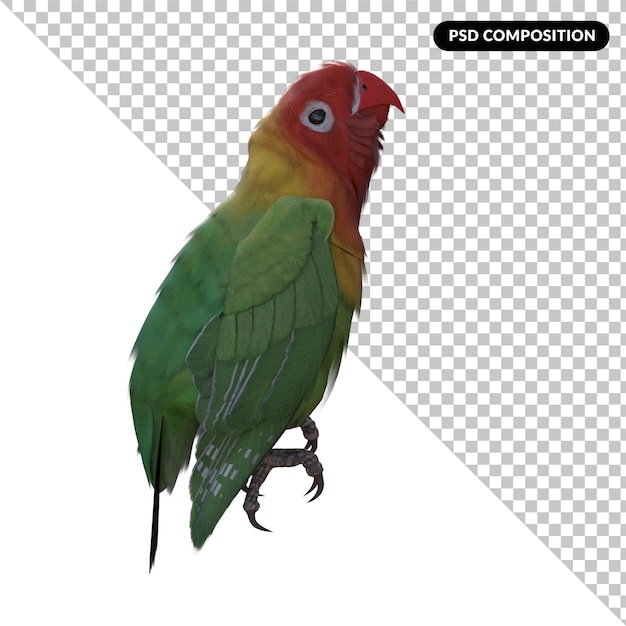 Parrot bird animal isolated 3d rendering