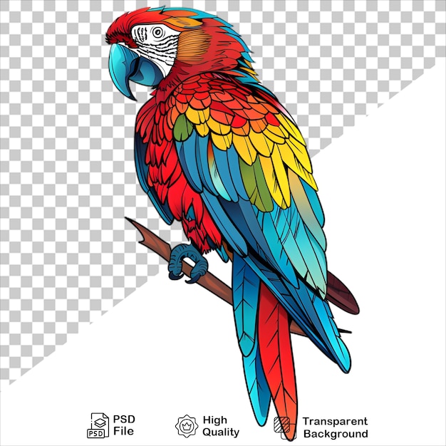 PSD parrot with bright red and blue feathers on transparent background