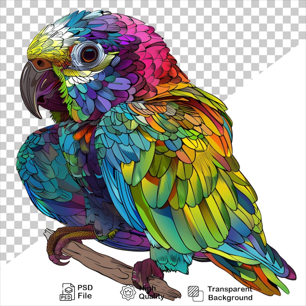 PSD parrot with bright red and blue feathers on transparent background