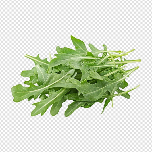 parsley isolated on transparent background cut out