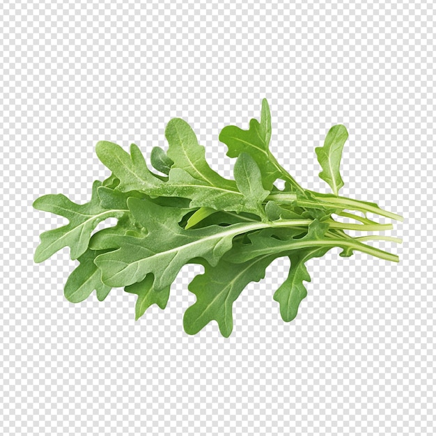 parsley isolated on transparent background cut out