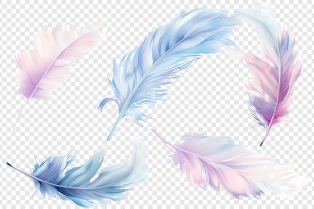 pastel feather isolated on transparent background