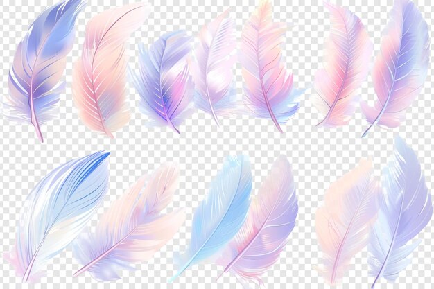 pastel feather isolated on transparent background