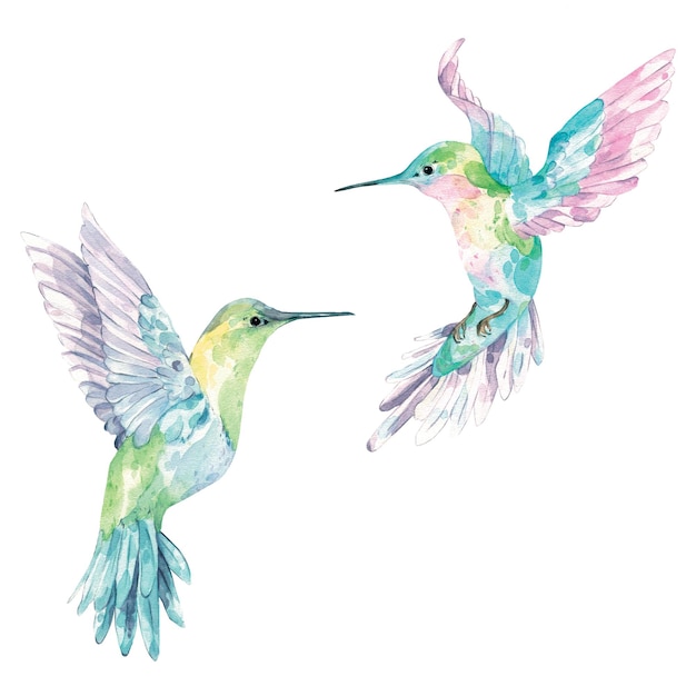 PSD pattern with watercolor hummingbirds drawn hummingbirds pattern with exotic birds