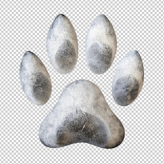 paw on transparent background