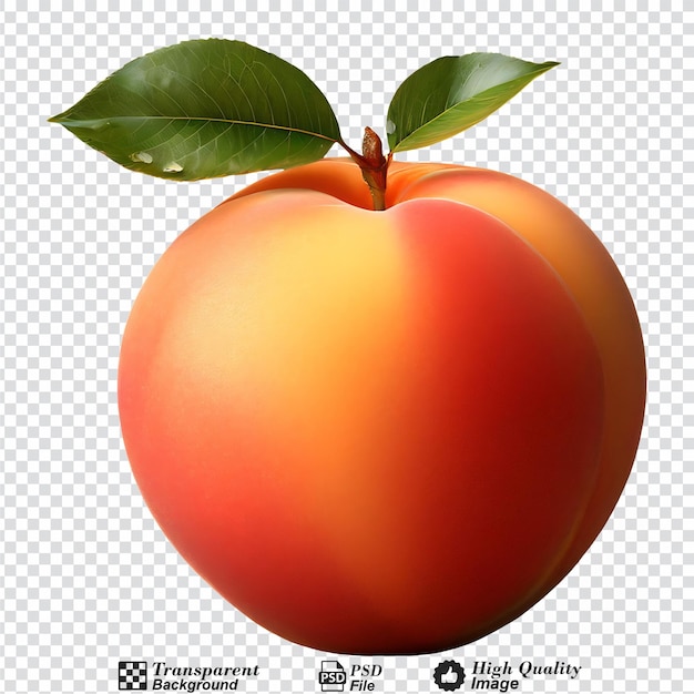 peach isolated on transparent background