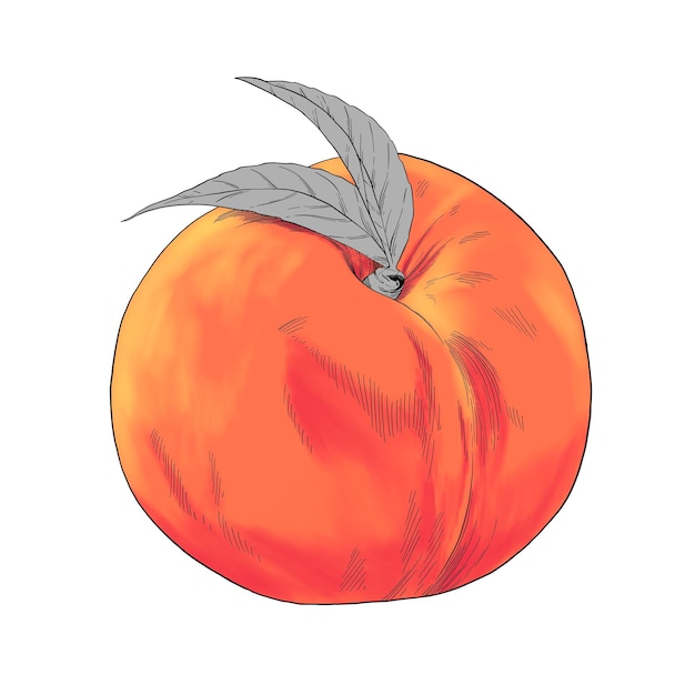 Peach