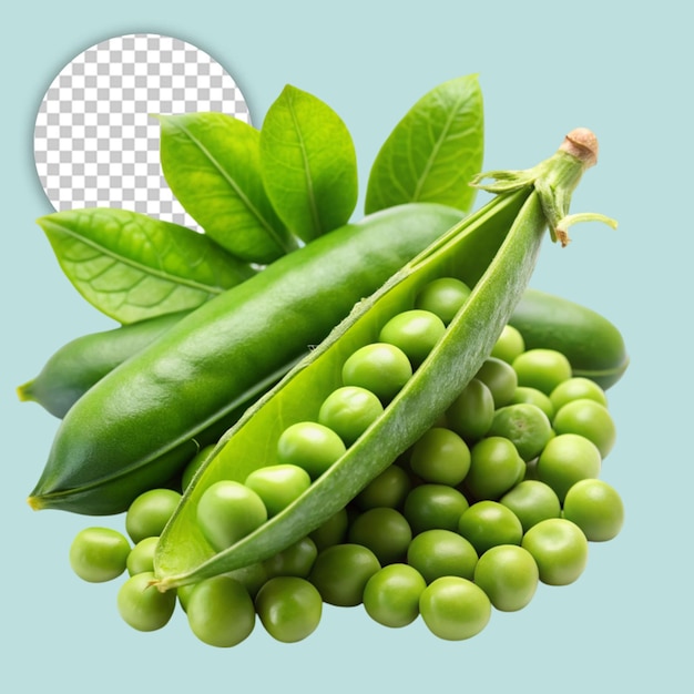 PSD peas on transparent background